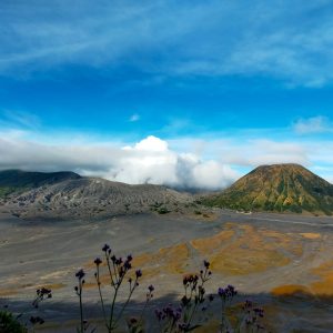 PRIVATE BROMO TRIP 1 Malam/2 Hari