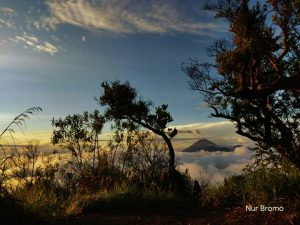 OPEN TRIP MIDNIGHT BROMO (Start Cemara – Bromo)