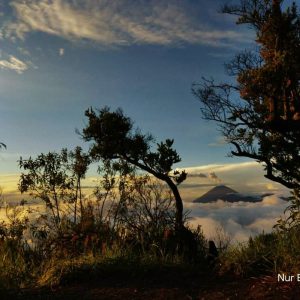 OPEN TRIP MIDNIGHT BROMO (Start Cemara - Bromo)