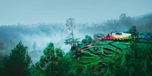 City Tour Malang/Batu (10 Jam)