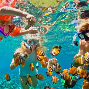 Snorkeling di Lovina Bali