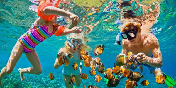 Snorkeling di Lovina Bali