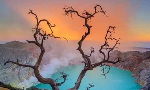 ijen-e1742276009729